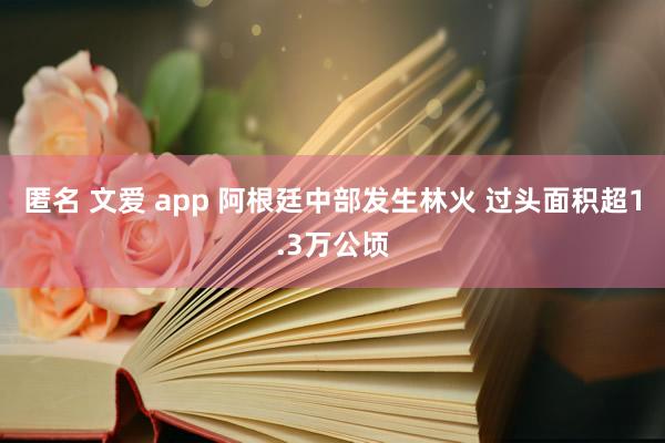 匿名 文爱 app 阿根廷中部发生林火 过头面积超1.3万公顷