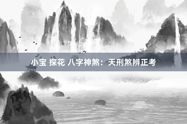 小宝 探花 八字神煞：天刑煞辨正考