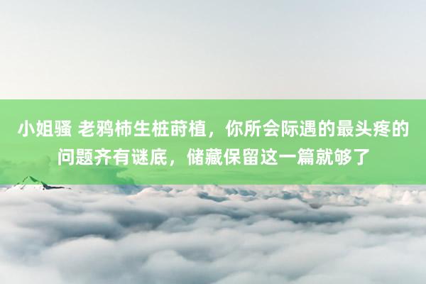 小姐骚 老鸦柿生桩莳植，你所会际遇的最头疼的问题齐有谜底，储藏保留这一篇就够了