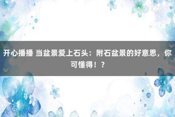 开心播播 当盆景爱上石头：附石盆景的好意思，你可懂得！？