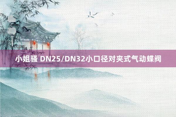 小姐骚 DN25/DN32小口径对夹式气动蝶阀