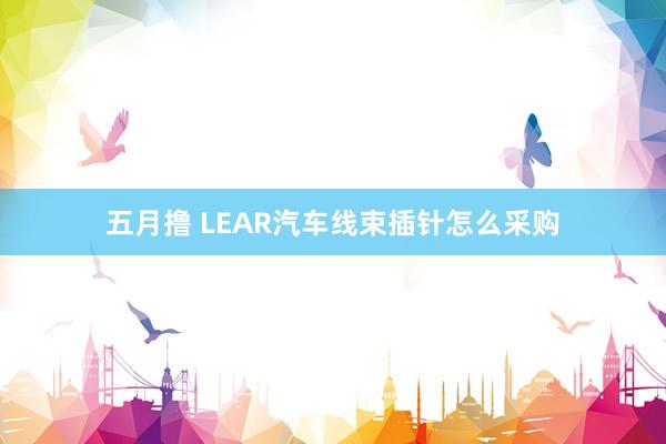 五月撸 LEAR汽车线束插针怎么采购