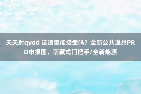 天天射qvod 这造型能接受吗？全新公共途昂PRO申报图，荫藏式门把手/全新能源