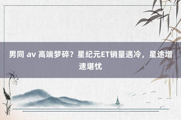 男同 av 高端梦碎？星纪元ET销量遇冷，星途增速堪忧