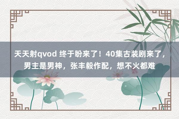 天天射qvod 终于盼来了！40集古装剧来了，男主是男神，张丰毅作配，想不火都难