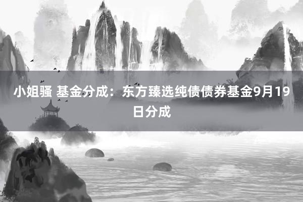 小姐骚 基金分成：东方臻选纯债债券基金9月19日分成