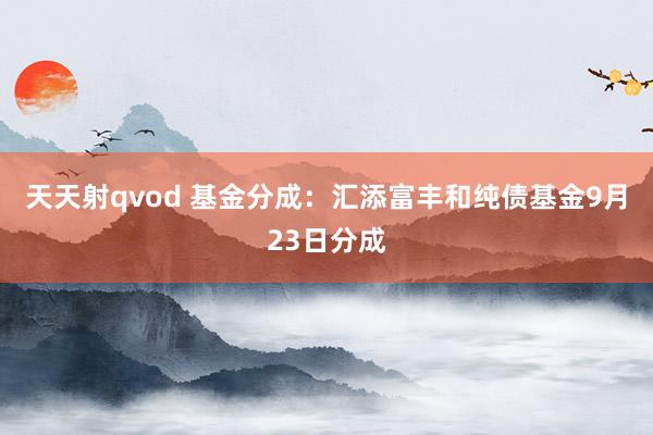 天天射qvod 基金分成：汇添富丰和纯债基金9月23日分成