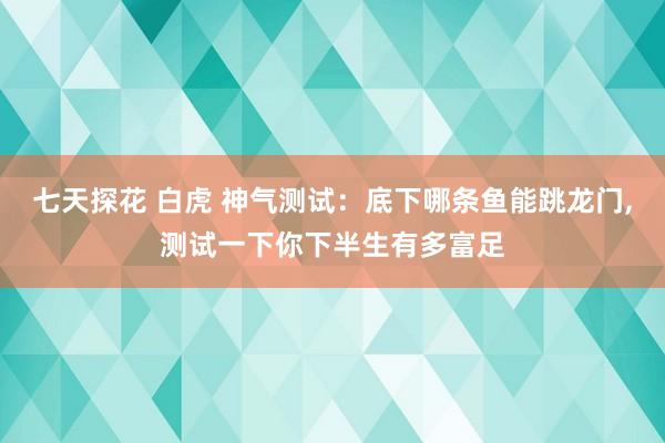 七天探花 白虎 神气测试：底下哪条鱼能跳龙门，测试一下你下半生有多富足