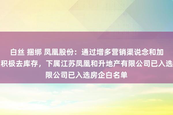 白丝 捆绑 凤凰股份：通过增多营销渠说念和加大出租力度积极去库存，下属江苏凤凰和升地产有限公司已入选房企白名单