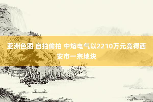 亚洲色图 自拍偷拍 中熔电气以2210万元竞得西安市一宗地块