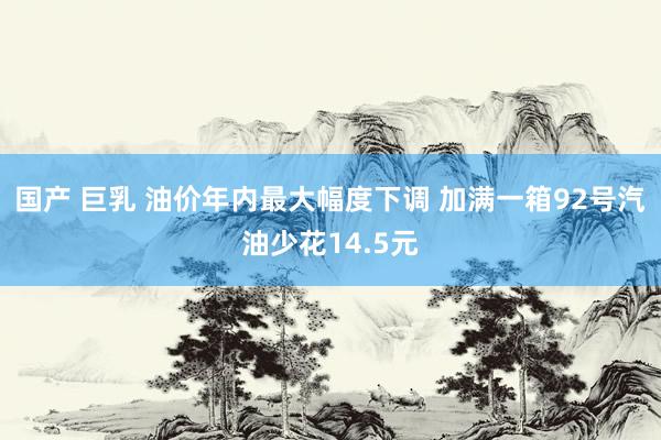 国产 巨乳 油价年内最大幅度下调 加满一箱92号汽油少花14.5元