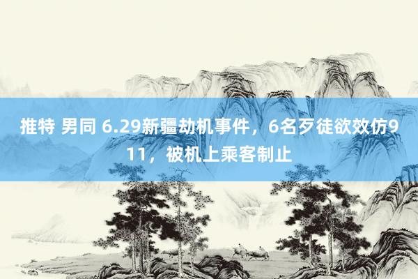 推特 男同 6.29新疆劫机事件，6名歹徒欲效仿911，被机上乘客制止