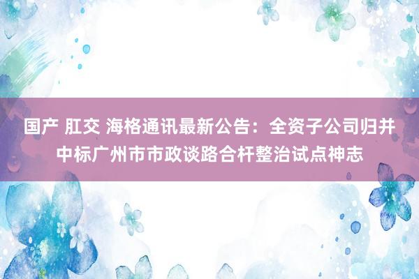 国产 肛交 海格通讯最新公告：全资子公司归并中标广州市市政谈路合杆整治试点神志