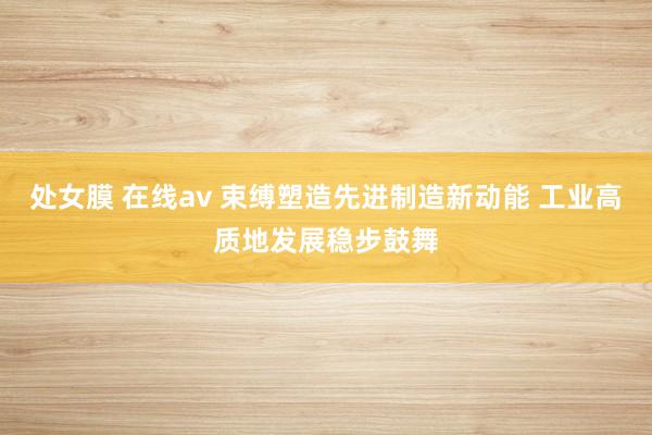 处女膜 在线av 束缚塑造先进制造新动能 工业高质地发展稳步鼓舞