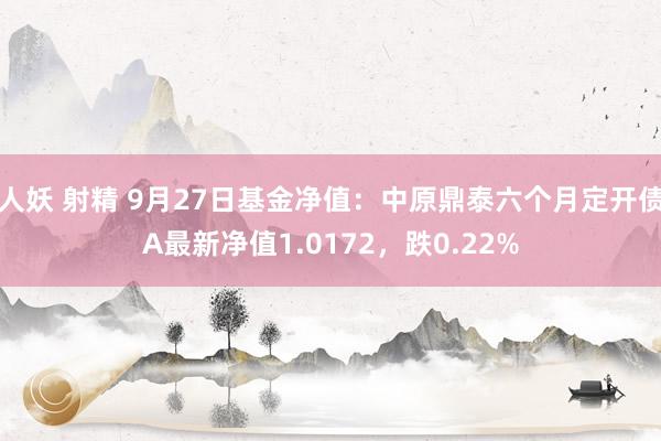 人妖 射精 9月27日基金净值：中原鼎泰六个月定开债A最新净值1.0172，跌0.22%