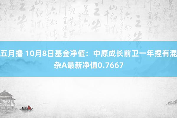 五月撸 10月8日基金净值：中原成长前卫一年捏有混杂A最新净值0.7667