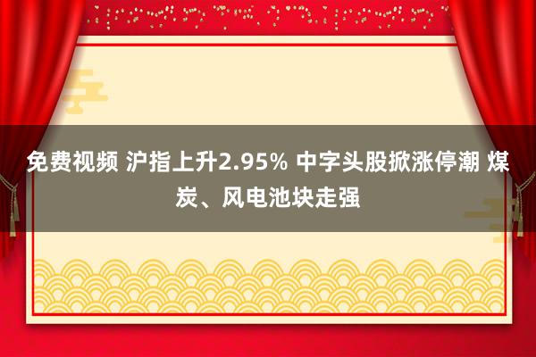 免费视频 沪指上升2.95% 中字头股掀涨停潮 煤炭、风电池块走强