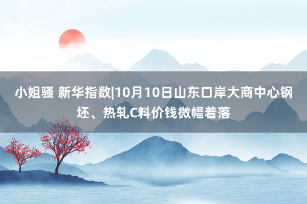 小姐骚 新华指数|10月10日山东口岸大商中心钢坯、热轧C料价钱微幅着落