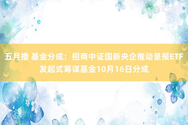 五月撸 基金分成：招商中证国新央企推动呈报ETF发起式筹谋基金10月16日分成