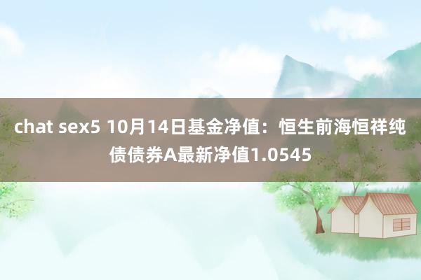 chat sex5 10月14日基金净值：恒生前海恒祥纯债债券A最新净值1.0545