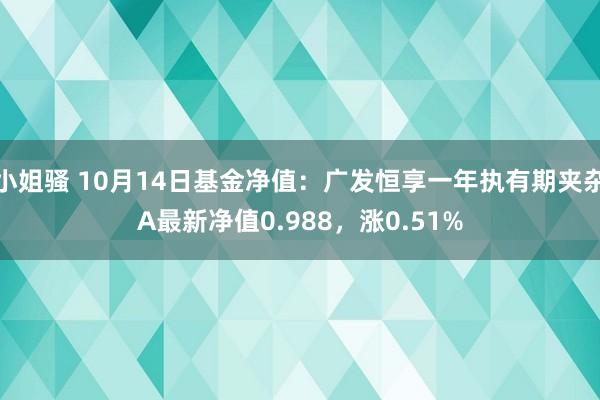 小姐骚 10月14日基金净值：广发恒享一年执有期夹杂A最新净值0.988，涨0.51%