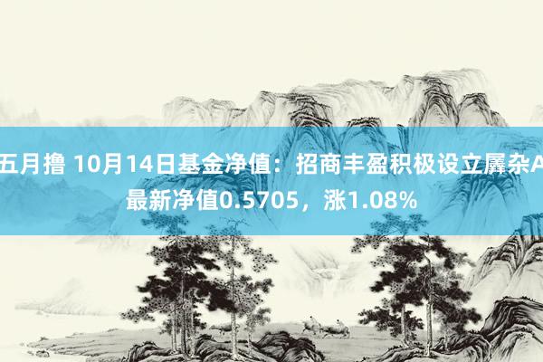 五月撸 10月14日基金净值：招商丰盈积极设立羼杂A最新净值0.5705，涨1.08%