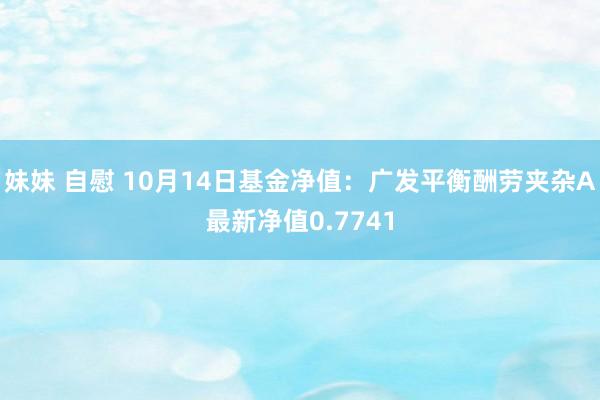 妹妹 自慰 10月14日基金净值：广发平衡酬劳夹杂A最新净值0.7741