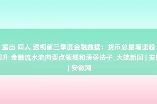 露出 同人 透视前三季度金融数据：货币总量增速趋稳回升 金融流水流向要点领域和薄弱法子_大皖新闻 | 安徽网