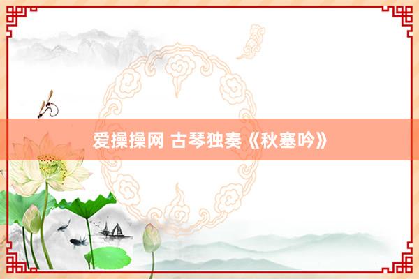 爱操操网 古琴独奏《秋塞吟》