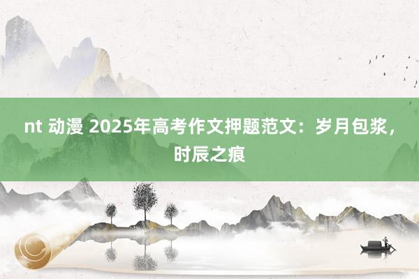 nt 动漫 2025年高考作文押题范文：岁月包浆，时辰之痕