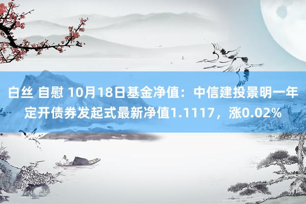 白丝 自慰 10月18日基金净值：中信建投景明一年定开债券发起式最新净值1.1117，涨0.02%