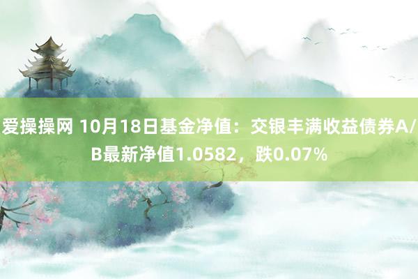 爱操操网 10月18日基金净值：交银丰满收益债券A/B最新净值1.0582，跌0.07%