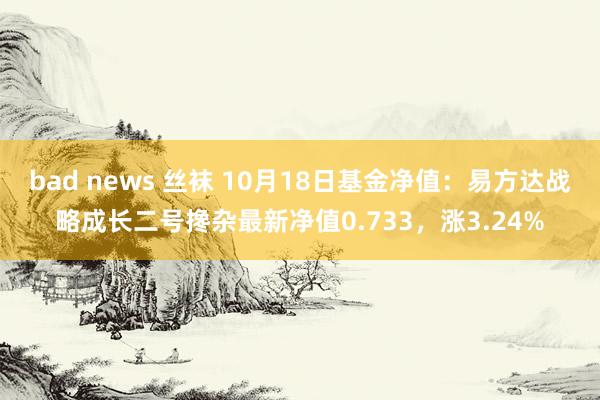 bad news 丝袜 10月18日基金净值：易方达战略成长二号搀杂最新净值0.733，涨3.24%