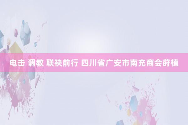 电击 调教 联袂前行 四川省广安市南充商会莳植