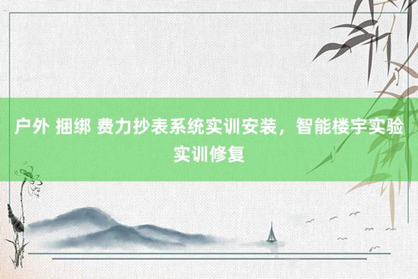 户外 捆绑 费力抄表系统实训安装，智能楼宇实验实训修复