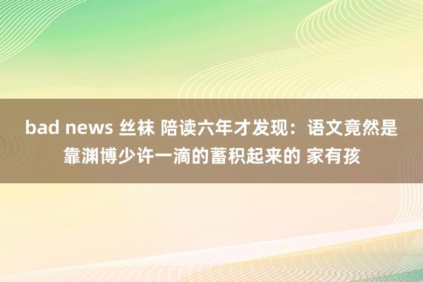 bad news 丝袜 陪读六年才发现：语文竟然是靠渊博少许一滴的蓄积起来的 家有孩