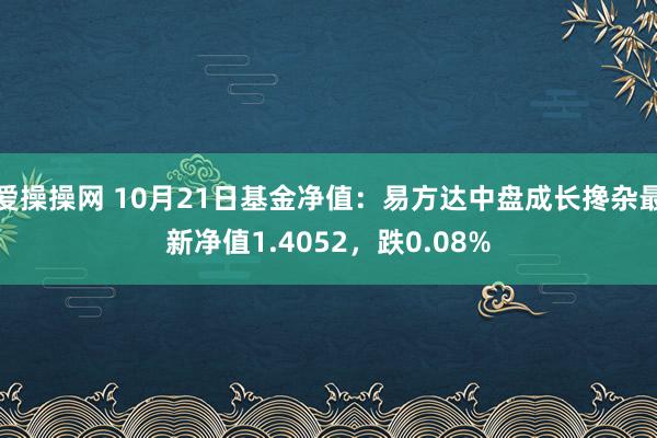 爱操操网 10月21日基金净值：易方达中盘成长搀杂最新净值1.4052，跌0.08%