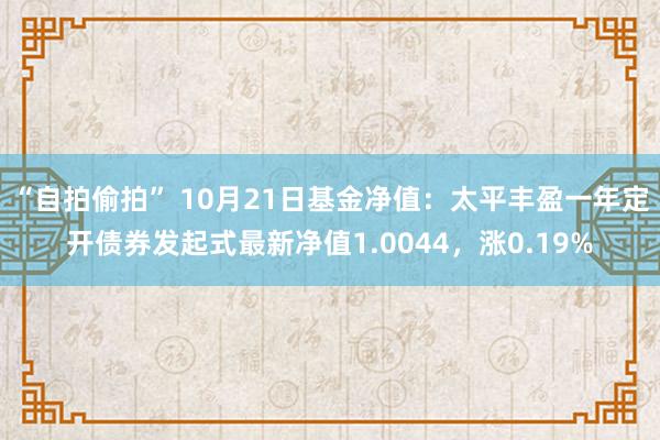 “自拍偷拍” 10月21日基金净值：太平丰盈一年定开债券发起式最新净值1.0044，涨0.19%