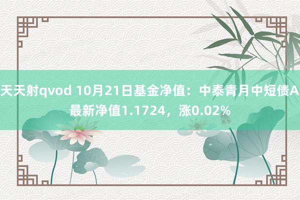 天天射qvod 10月21日基金净值：中泰青月中短债A最新净值1.1724，涨0.02%