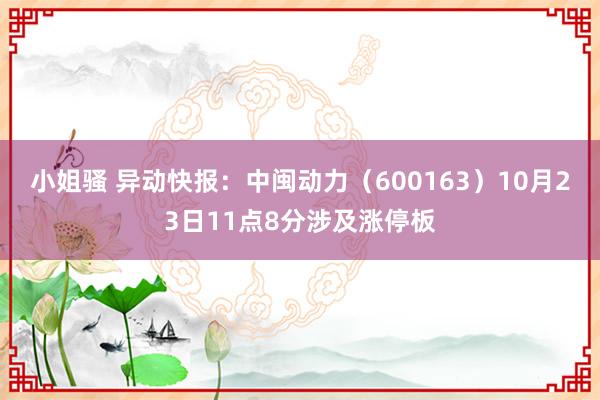 小姐骚 异动快报：中闽动力（600163）10月23日11点8分涉及涨停板