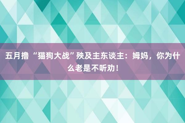 五月撸 “猫狗大战”殃及主东谈主：姆妈，你为什么老是不听劝！