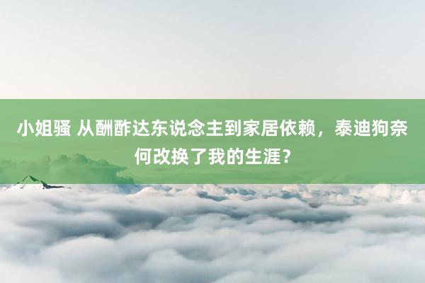 小姐骚 从酬酢达东说念主到家居依赖，泰迪狗奈何改换了我的生涯？