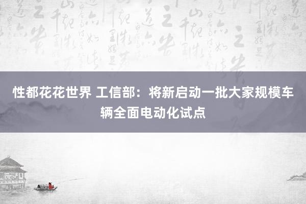 性都花花世界 工信部：将新启动一批大家规模车辆全面电动化试点