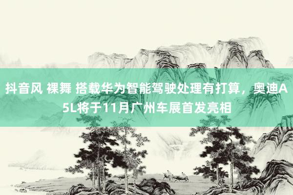 抖音风 裸舞 搭载华为智能驾驶处理有打算，奥迪A5L将于11月广州车展首发亮相