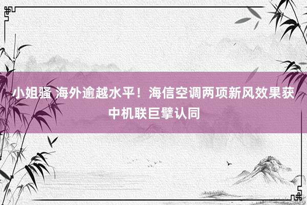 小姐骚 海外逾越水平！海信空调两项新风效果获中机联巨擘认同