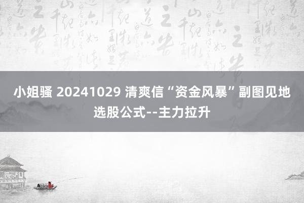 小姐骚 20241029 清爽信“资金风暴”副图见地选股公式--主力拉升