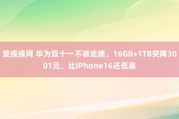 爱操操网 华为双十一不讲武德，16GB+1TB突降3001元，比iPhone16还低廉