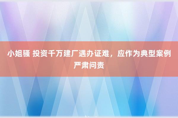 小姐骚 投资千万建厂遇办证难，应作为典型案例严肃问责