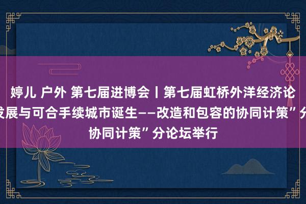 婷儿 户外 第七届进博会丨第七届虹桥外洋经济论坛“工业发展与可合手续城市诞生——改造和包容的协同计策”分论坛举行