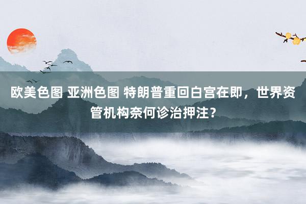 欧美色图 亚洲色图 特朗普重回白宫在即，世界资管机构奈何诊治押注？